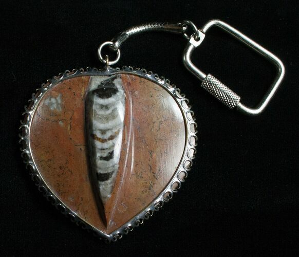 Brown Fossil Orthoceras Heart Keychain #4785